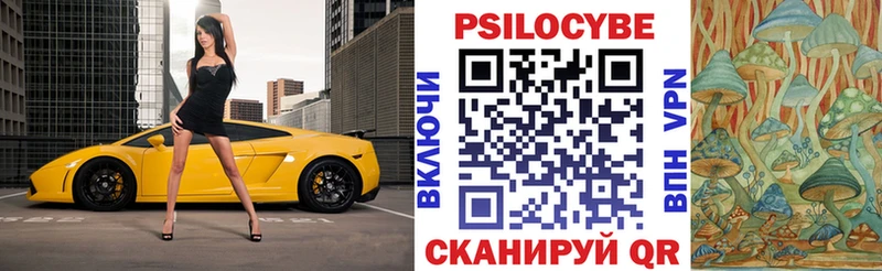 Галлюциногенные грибы Psilocybine cubensis Владикавказ